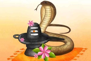 आज नागपञ्चमी पर्व  नागको पुजा गरेर मनाईदै