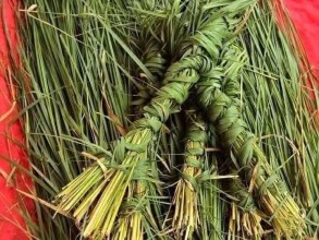 कुशको महिमा र पितृदेवो भव:पिता {बाबु }लाई सम्मान दिवसको महत्व 